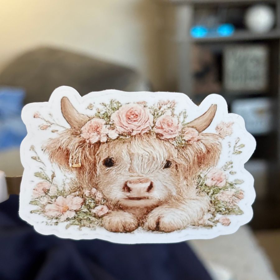 White Highland Cow Sticker