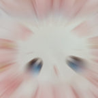 Teddy Bear Sticker Box